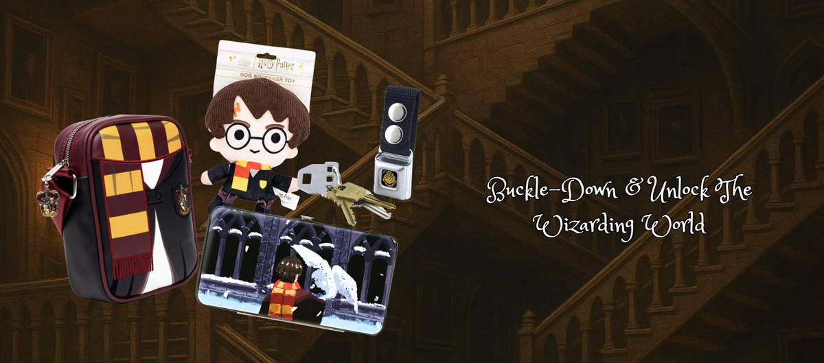 Harry Potter Accessories