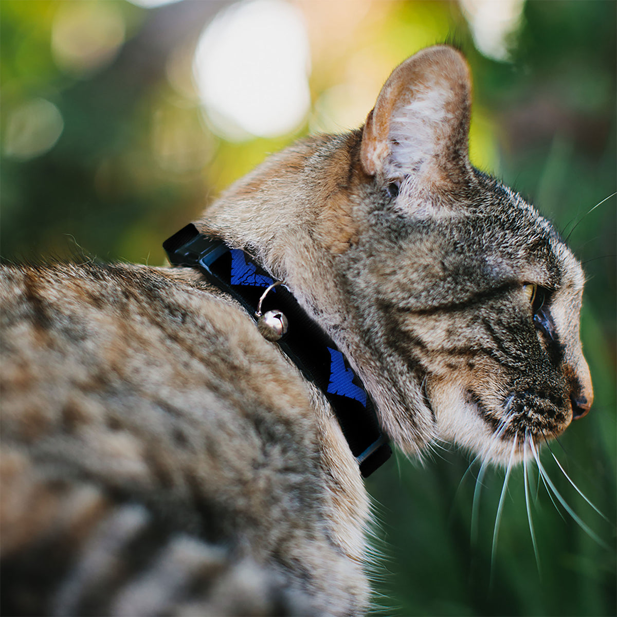 Cat Collar Breakaway - Nightwing Logo Black Blue Cat Collars Breakaway Side Release DC Comics