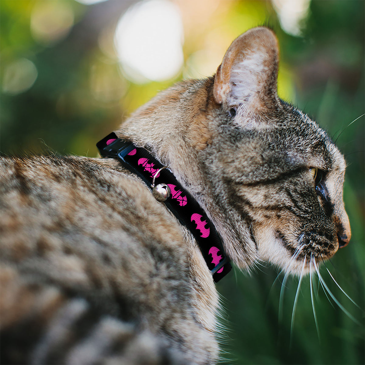Cat Collar Breakaway with Bell - Batman Signal Black Fuchsia Cat Collars Breakaway Side Release DC Comics