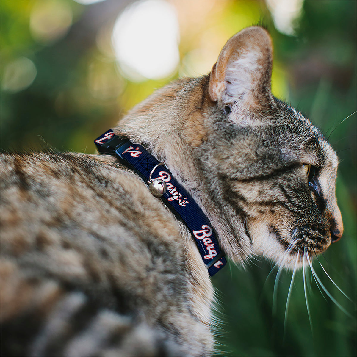 Breakaway Cat Collar with Bell - BARQ'S Vintage Logo Navy/Red/White Cat Collars Breakaway Side Release Coca-Cola