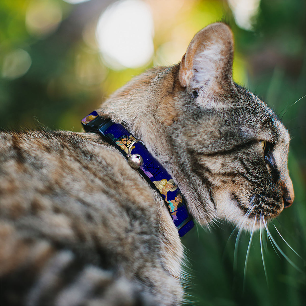 Cat Collar Breakaway - Aladdin & Jasmine Magic Carpet Ride Scenes Cat Collars Breakaway Side Release Disney