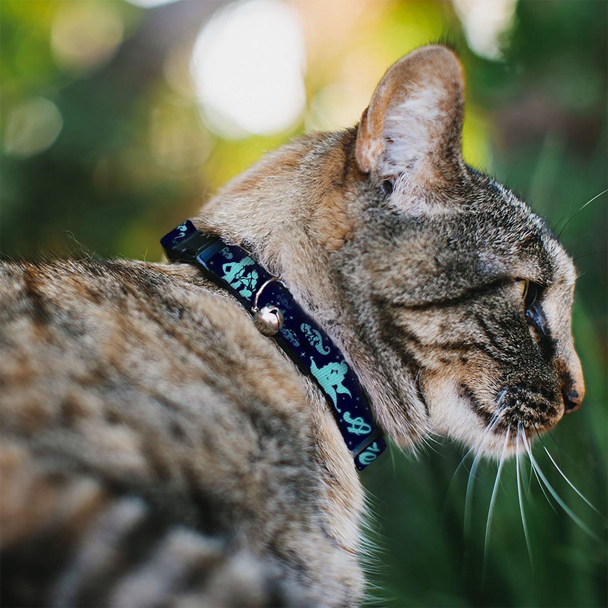 Cat Collar Breakaway - Aladdin & Jasmine Silhouette A WHOLE NEW WORLD Cat Collars Breakaway Side Release Disney