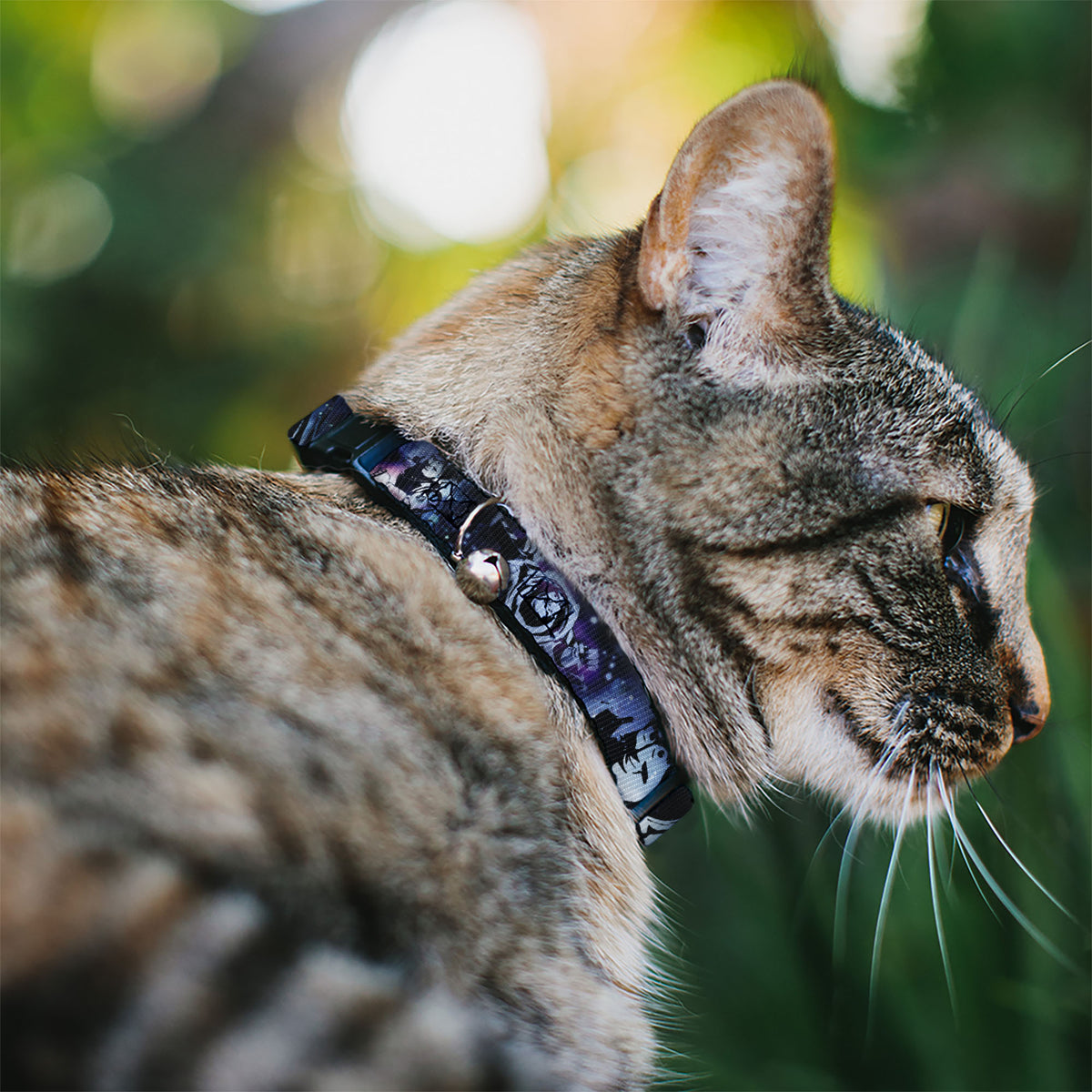 Cat Collar Breakaway - Buzz Lightyear Poses Galaxy Blues Cat Collars Breakaway Side Release Disney