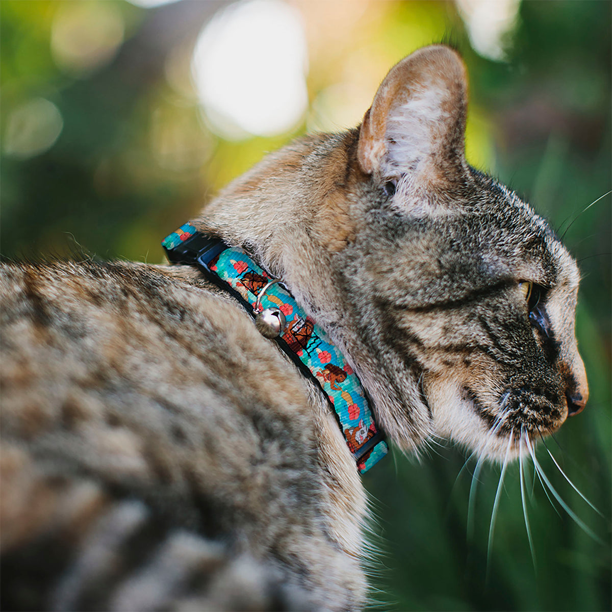 Breakaway Cat Collar with Bell - Moana Poses and Pua Flowers Blues Cat Collars Breakaway Side Release Disney