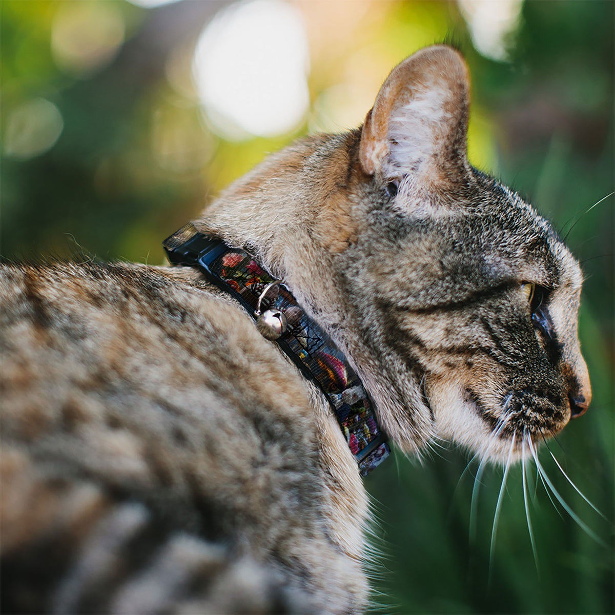 Cat Collar Breakaway - Alice in Wonderland Movie Encounters Cat Collars Breakaway Side Release Disney