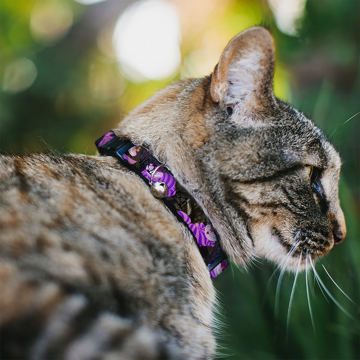 Cat Collar Breakaway - Cheshire Cat Tree Poses Cat Collars Breakaway Side Release Disney