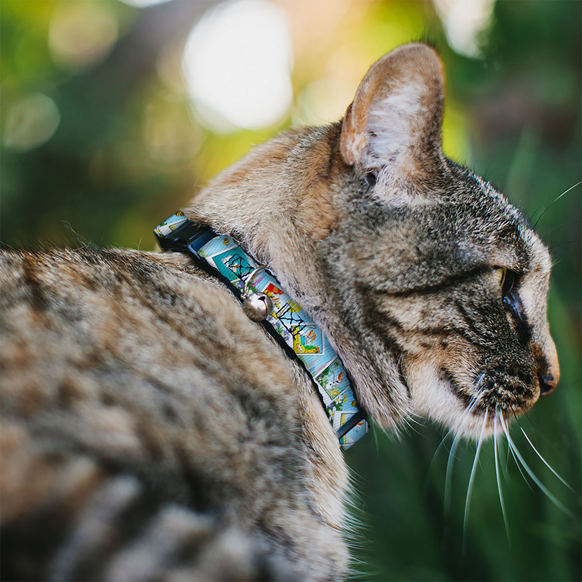 Cat Collar Breakaway - Olaf Summertime Snapshots Cat Collars Breakaway Side Release Disney