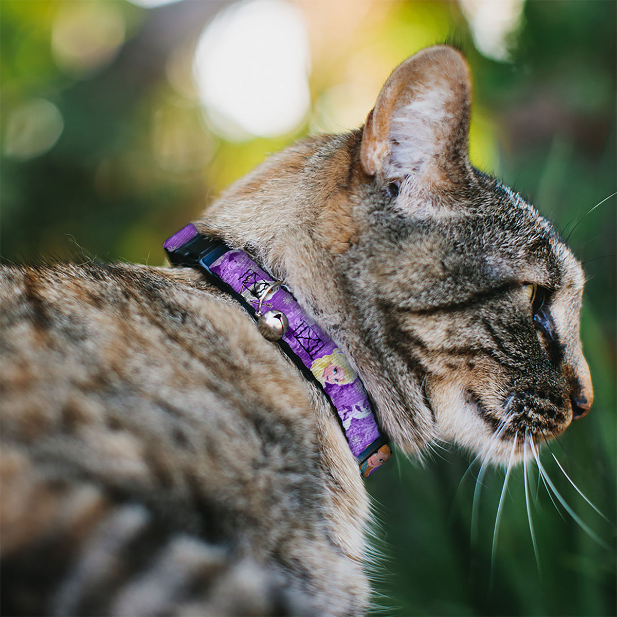 Cat Collar Breakaway - Frozen Anna Elsa Olaf Poses Scenes Purples Cat Collars Breakaway Side Release Disney