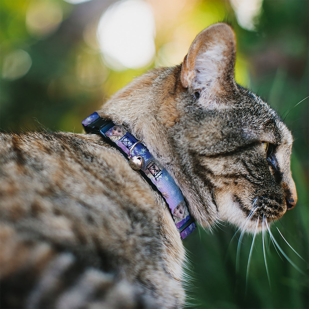 Cat Collar Breakaway - Elsa the Snow Queen Poses Castle & Snowy Mountains Blue-Pink Fade Cat Collars Breakaway Side Release Disney