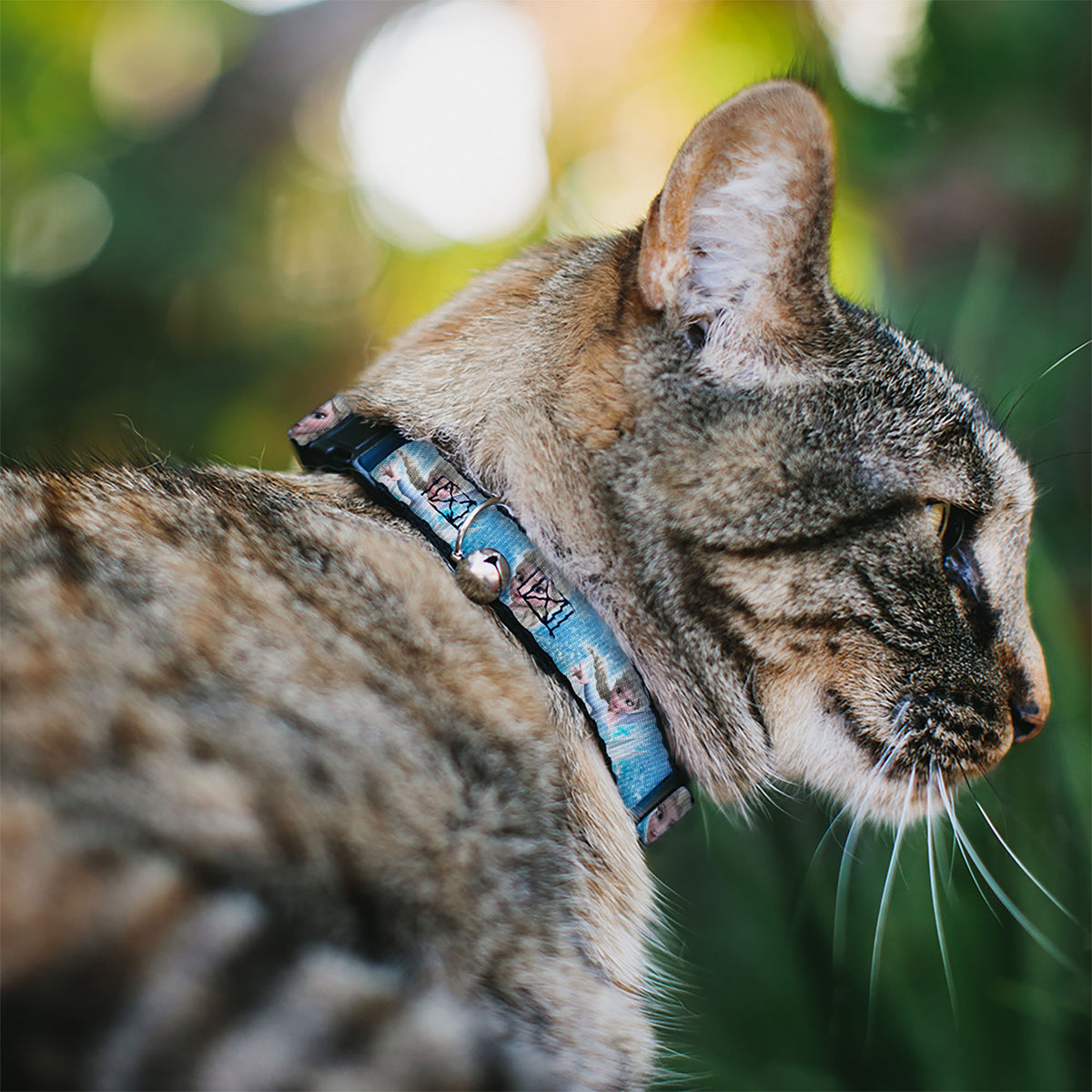 Cat Collar Breakaway - Frozen Elsa Face Action Pose Snowflakes Blues White Cat Collars Breakaway Side Release Disney
