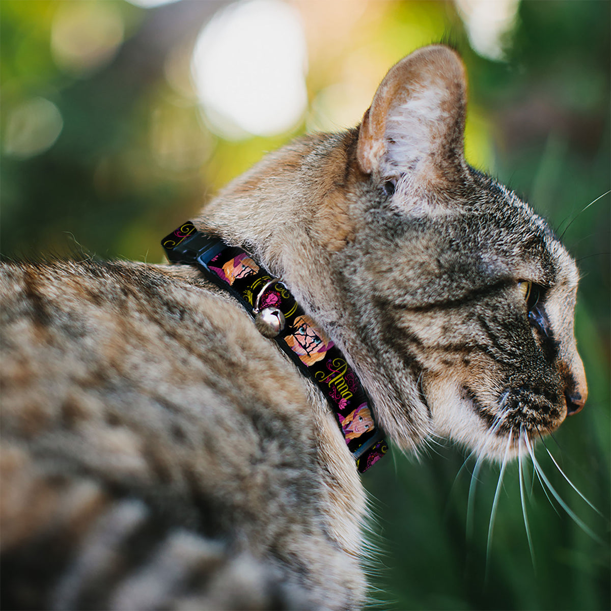 Cat Collar Breakaway - ANNA Poses Anna Monogram Heart Cameo Pinks Yellow Cat Collars Breakaway Side Release Disney
