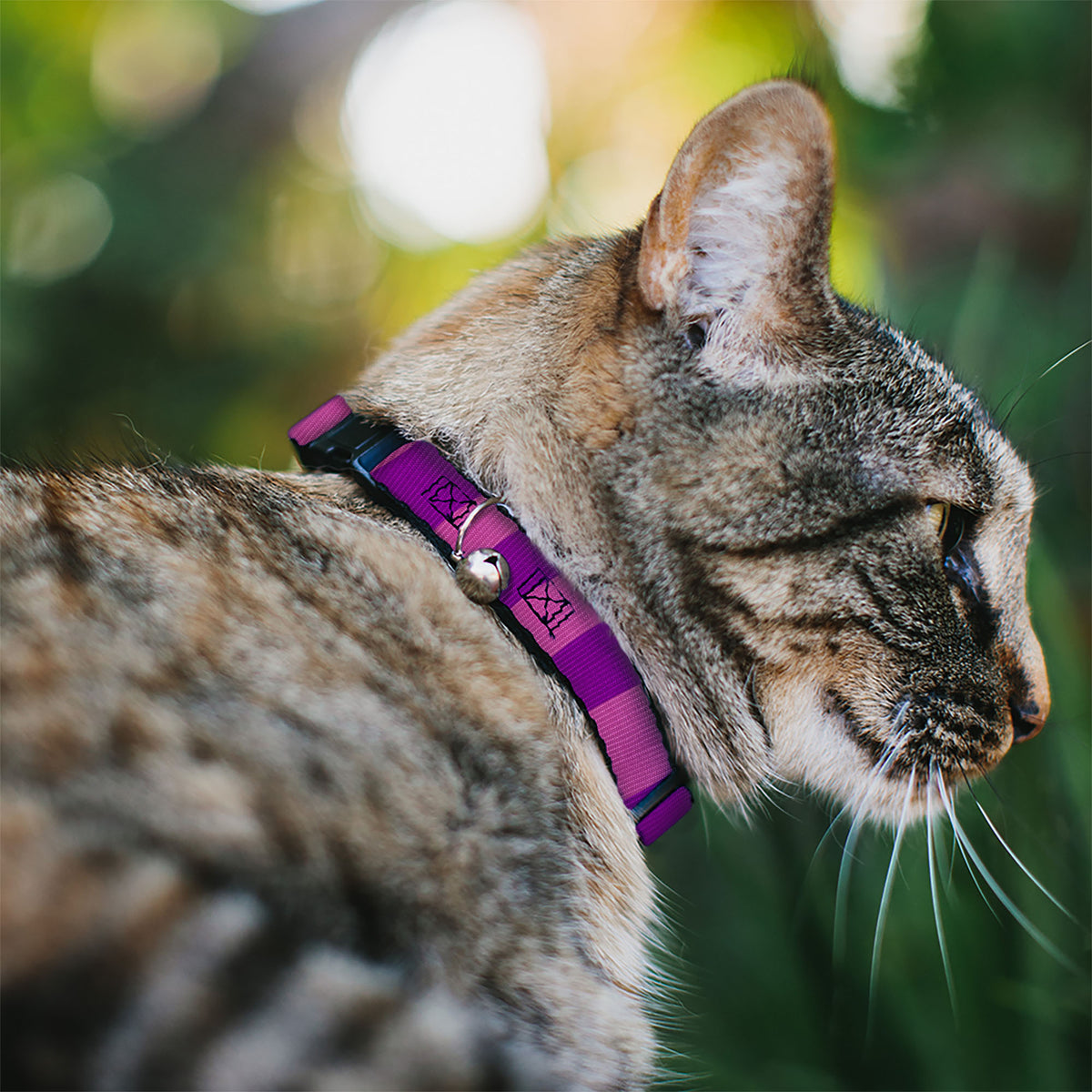 Cat Collar Breakaway - Cheshire Cat Stripe Pink Purple Cat Collars Breakaway Side Release Disney