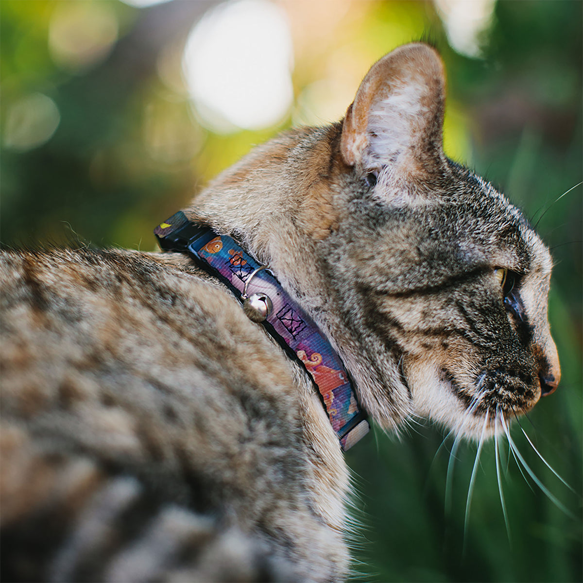 Cat Collar Breakaway - Dory & 5-Friends Under the Sea Cat Collars Breakaway Side Release Disney