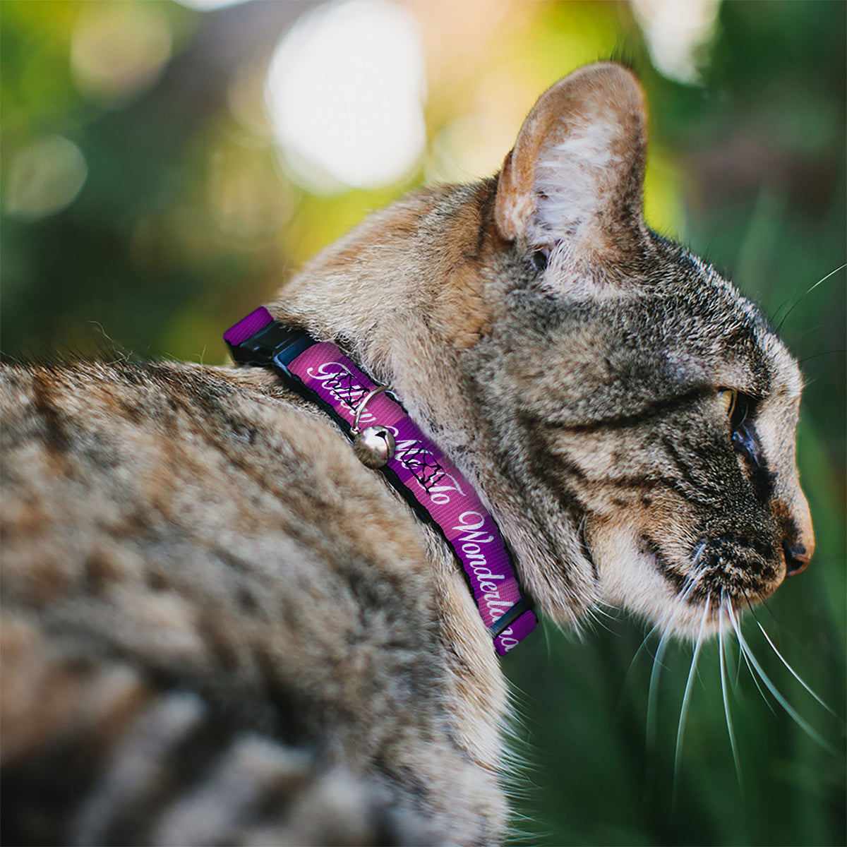 Cat Collar Breakaway - Cheshire Cat Stripe FOLLOW ME TO WONDERLAND Pink Purple White Cat Collars Breakaway Side Release Disney