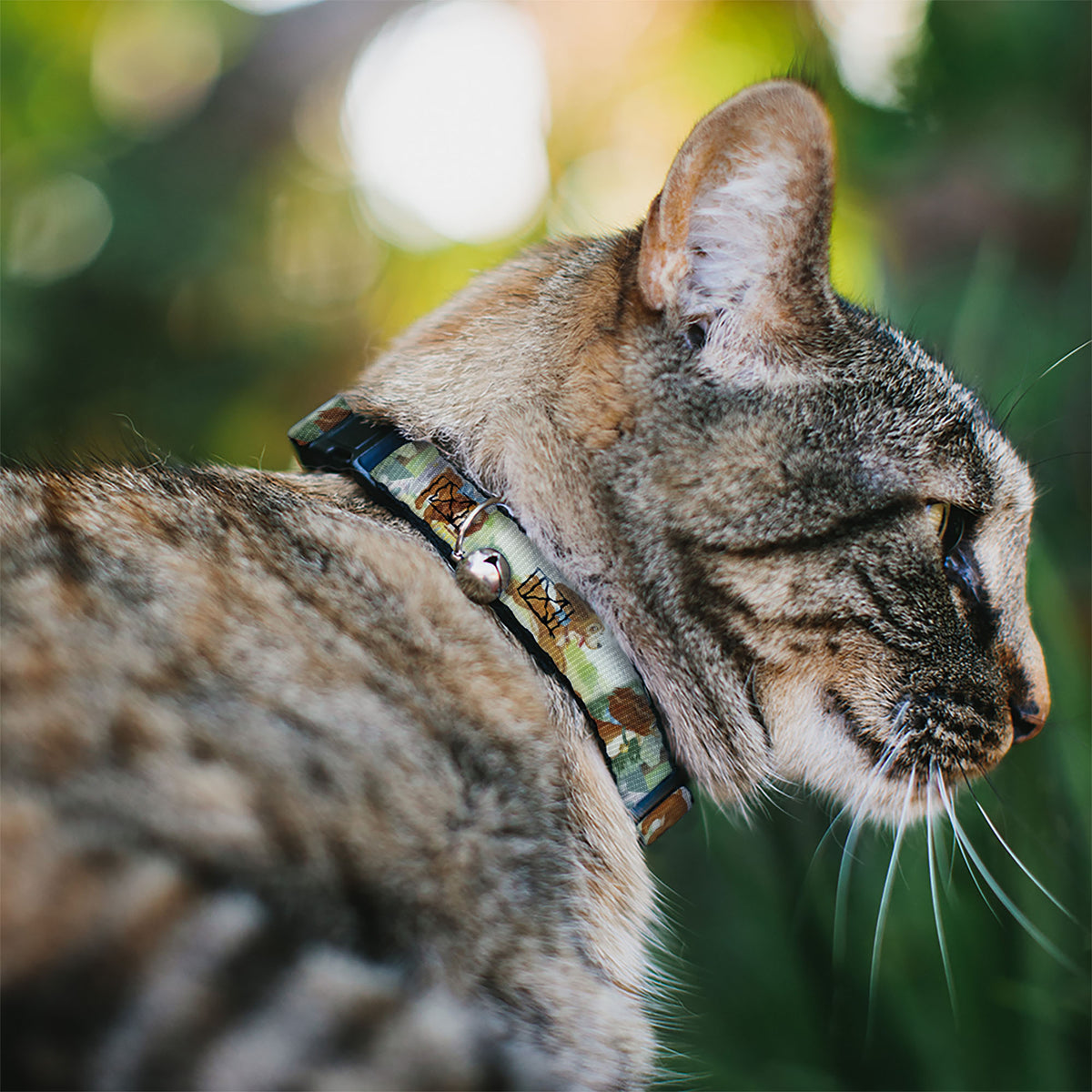 Cat Collar Breakaway - Lady 3-Scene Poses Cat Collars Breakaway Side Release Disney