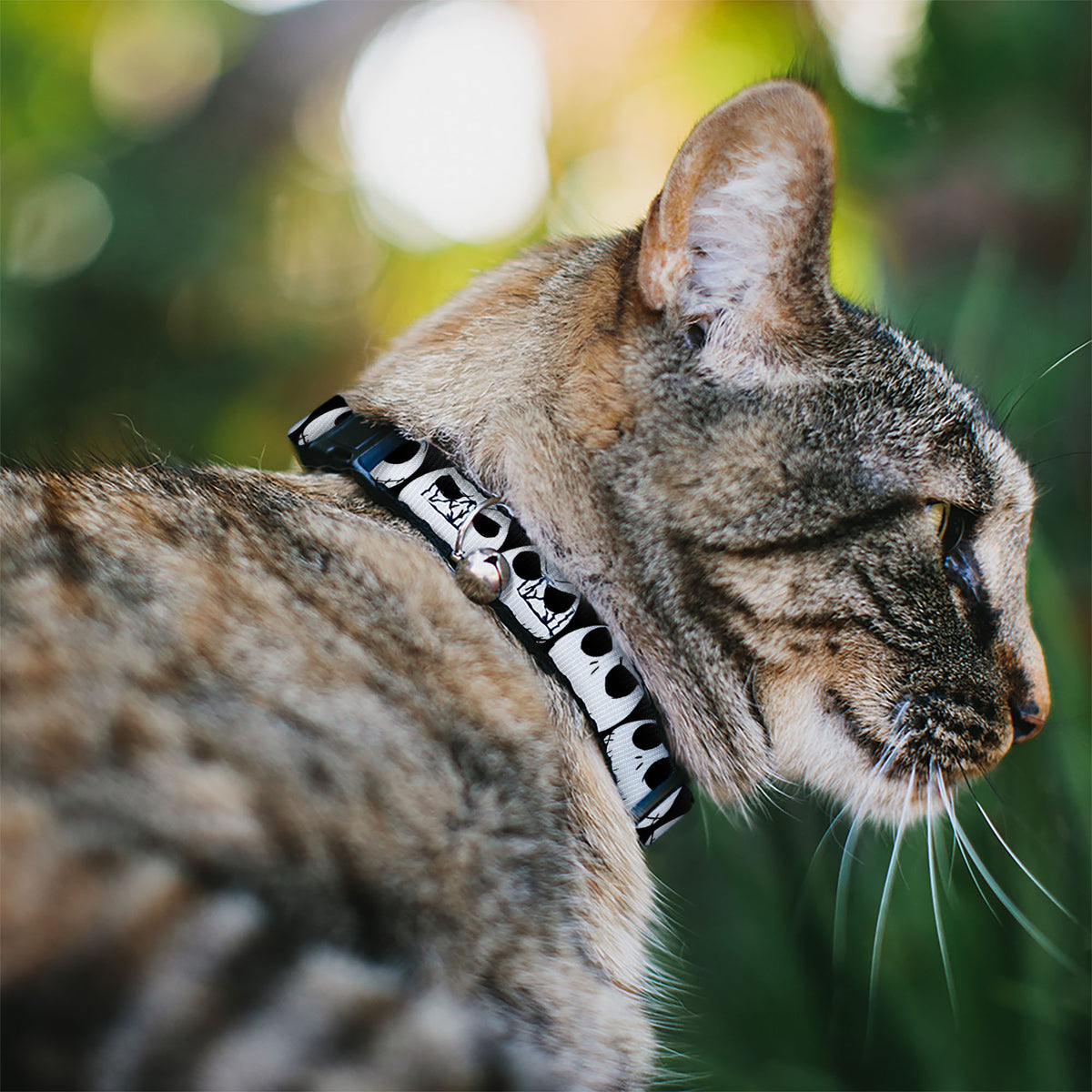 Cat Collar Breakaway - Nightmare Before Christmas 7-Jack Expressions CLOSE-UP Black White Cat Collars Breakaway Side Release Disney