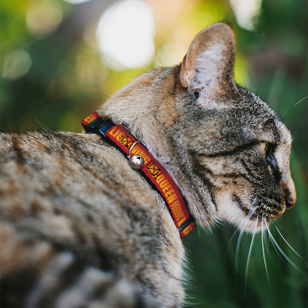 Breakaway Cat Collar with Bell - Cars LIGHTNING MCQUEEN Tread Red/Orange Cat Collars Breakaway Side Release Disney