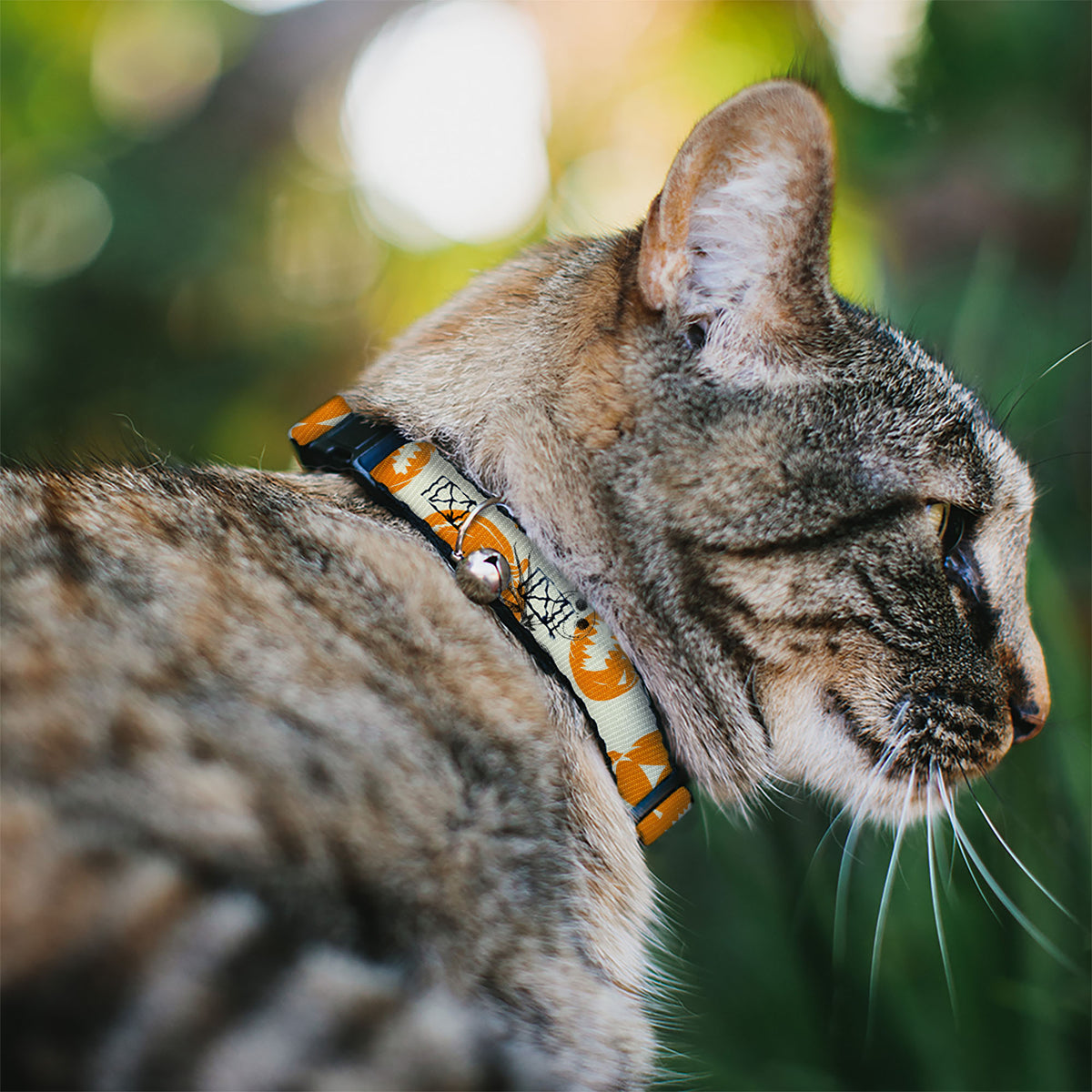 Cat Collar Breakaway with Bell - The Nightmare Before Christmas Jack Pose and Pumpkins Collage Ivory Orange Black Cat Collars Breakaway Side Release Disney