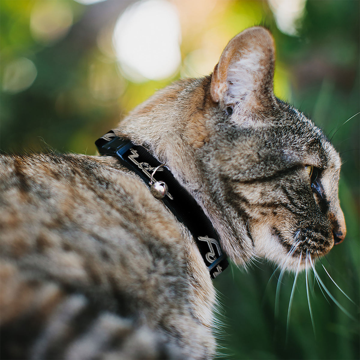 Breakaway Cat Collar with Bell - FORD F-100 Script Black/Tan-Gray Cat Collars Breakaway Side Release Ford
