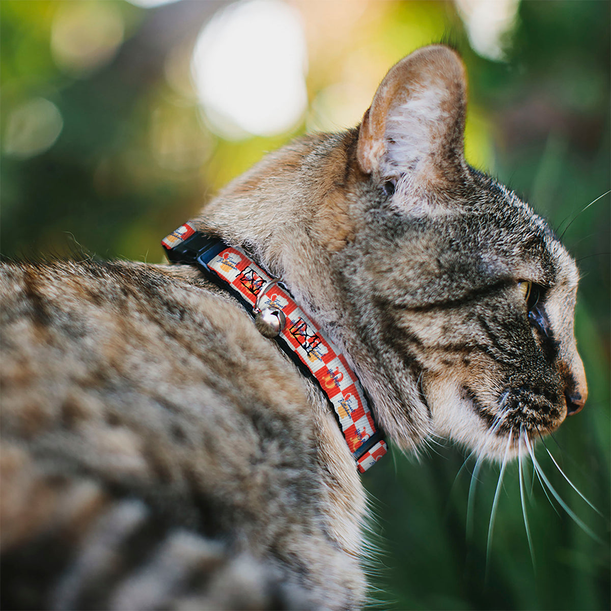 Breakaway Cat Collar with Bell - HARRY POTTER FINEST BUTTERBEER Logo and Mug Checker Red/White/Yellow Cat Collars Breakaway Side Release Harry Potter