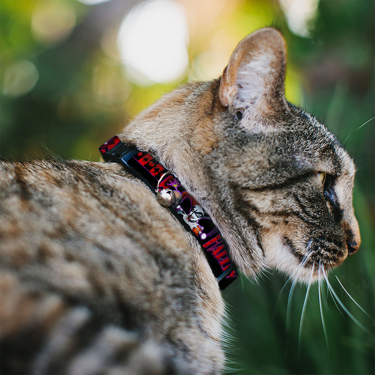 Cat Collar Breakaway - HARLEY QUINN Bomb Poses Suits Black Purple Red Cat Collars Breakaway Side Release DC Comics