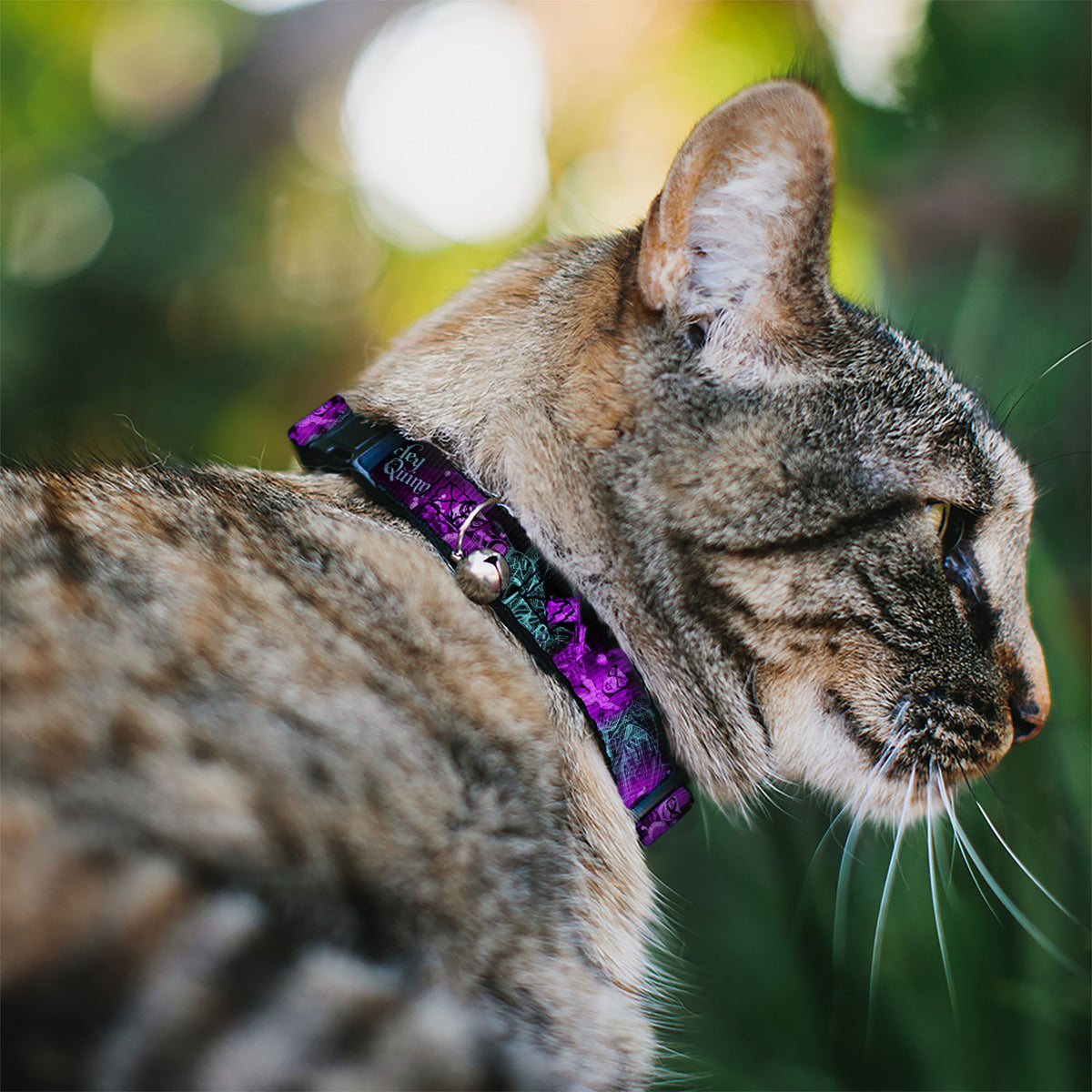 Cat Collar Breakaway - HARLEY QUINN Pow & Aiming Poses Joker Sketch Black Turquoise Fuchsia Cat Collars Breakaway Side Release DC Comics