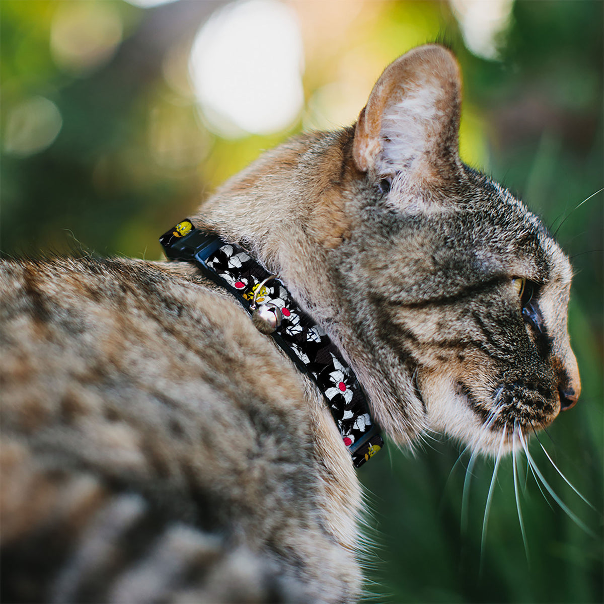 Cat Collar Breakaway - Sylvester and Tweety Poses Scattered Charcoal Cat Collars Breakaway Side Release Looney Tunes