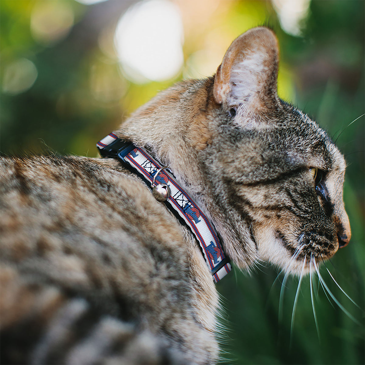 Cat Collar Breakaway with Bell - Space Jam TUNE SQUAD Logo Stripe White Red Blue - NARROW Fits 8.5-12" Cat Collars Breakaway Side Release Looney Tunes