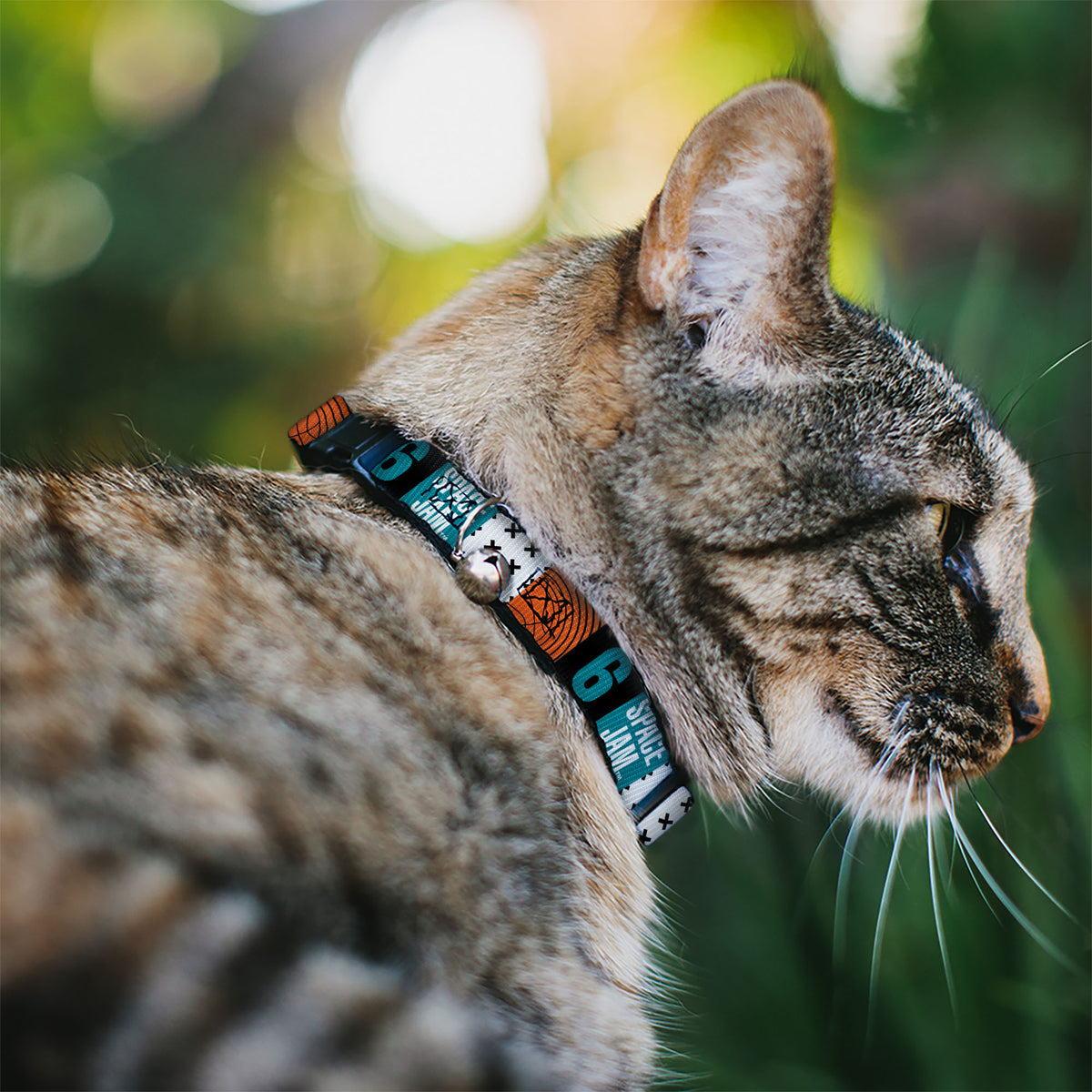 Cat Collar Breakaway with Bell - SPACE JAM Number 6 Blocks Black Turquoise White Red - NARROW Fits 8.5-12" Cat Collars Breakaway Side Release Looney Tunes