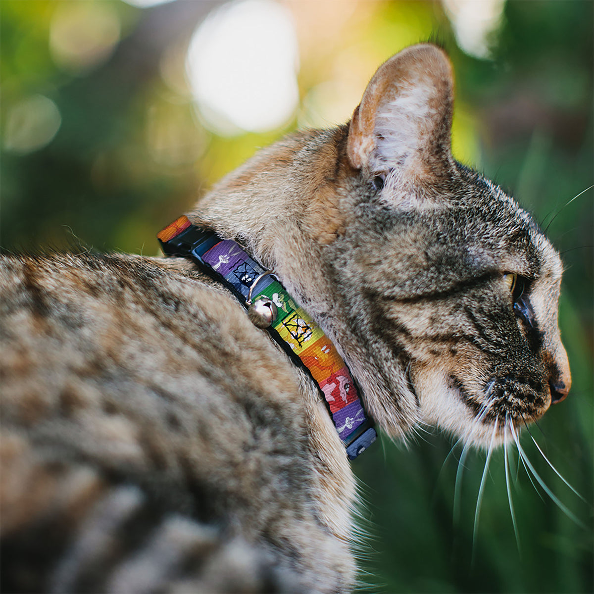 Cat Collar Breakaway with Bell - Looney Tunes 6-Character Pose Pride Blocks Multi Color Cat Collars Breakaway Side Release Looney Tunes