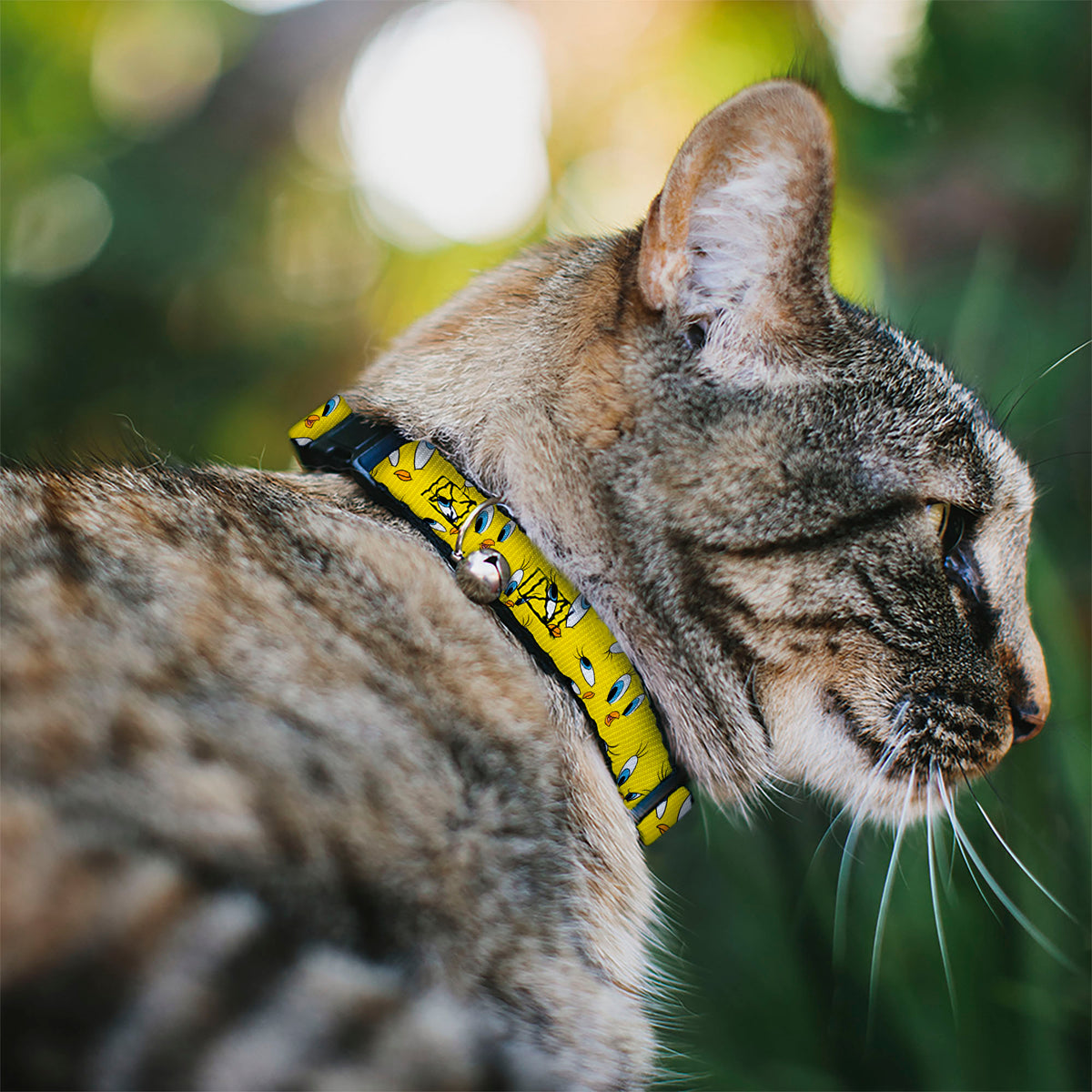Breakaway Cat Collar with Bell - Tweety Expression and Eyes Scattered Yellow Cat Collars Breakaway Side Release Looney Tunes