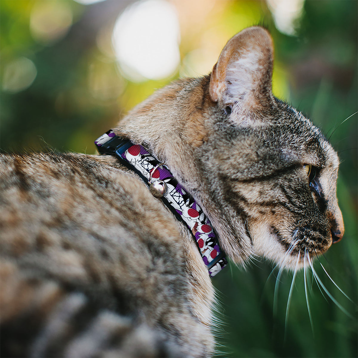 Cat Collar Breakaway - Sylvester the Cat Expressions Purple Cat Collars Breakaway Side Release Looney Tunes
