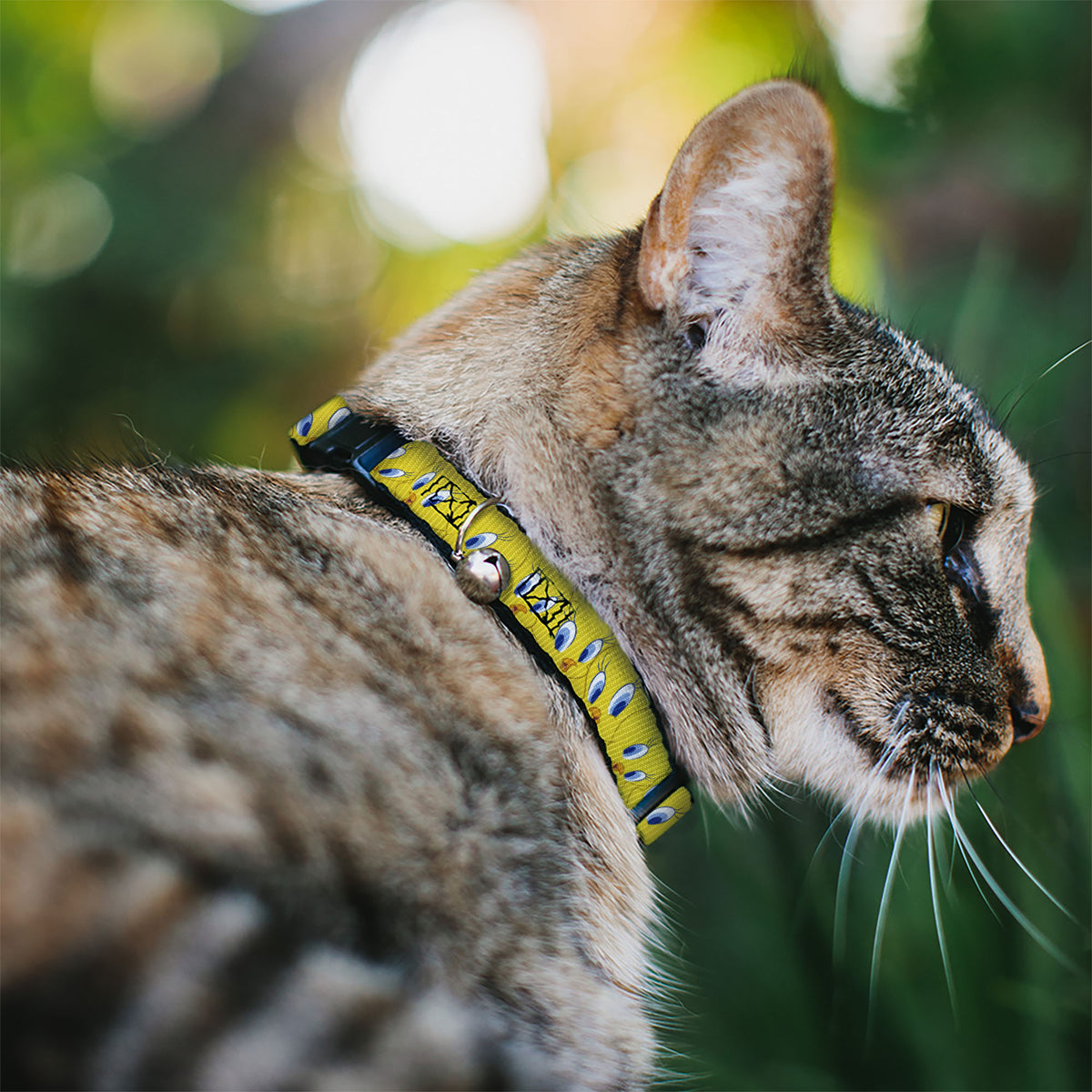 Cat Collar Breakaway with Bell - Tweety Bird Expressions Yellow Cat Collars Breakaway Side Release Looney Tunes