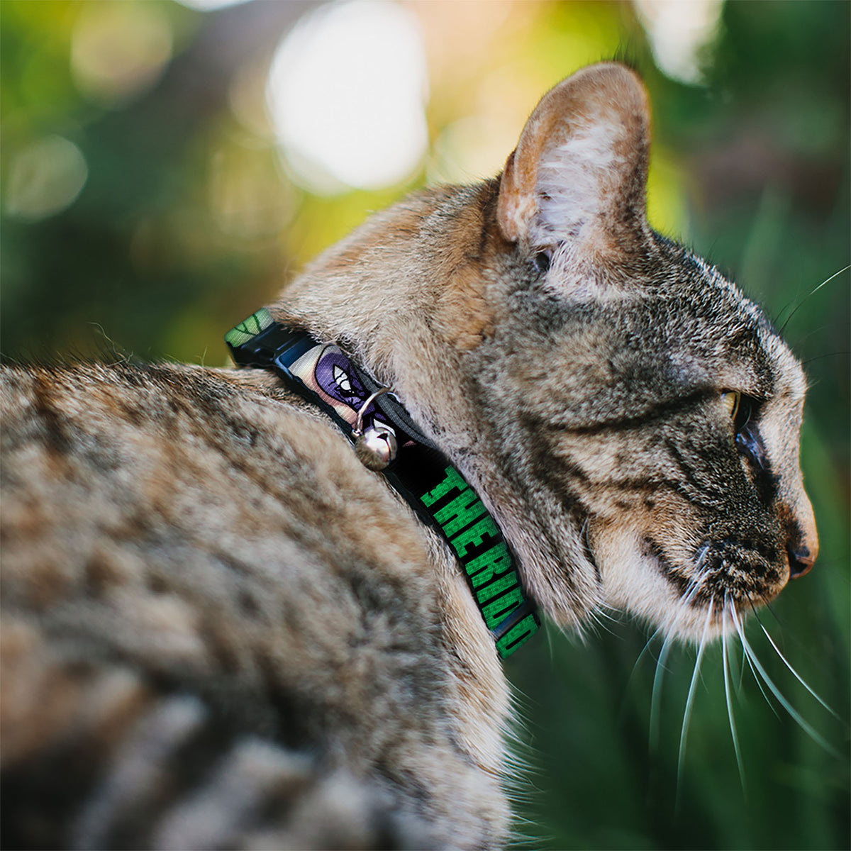 Cat Collar Breakaway - THE RIDDLER Face CLOSE-UP Black Green Cat Collars Breakaway Side Release DC Comics