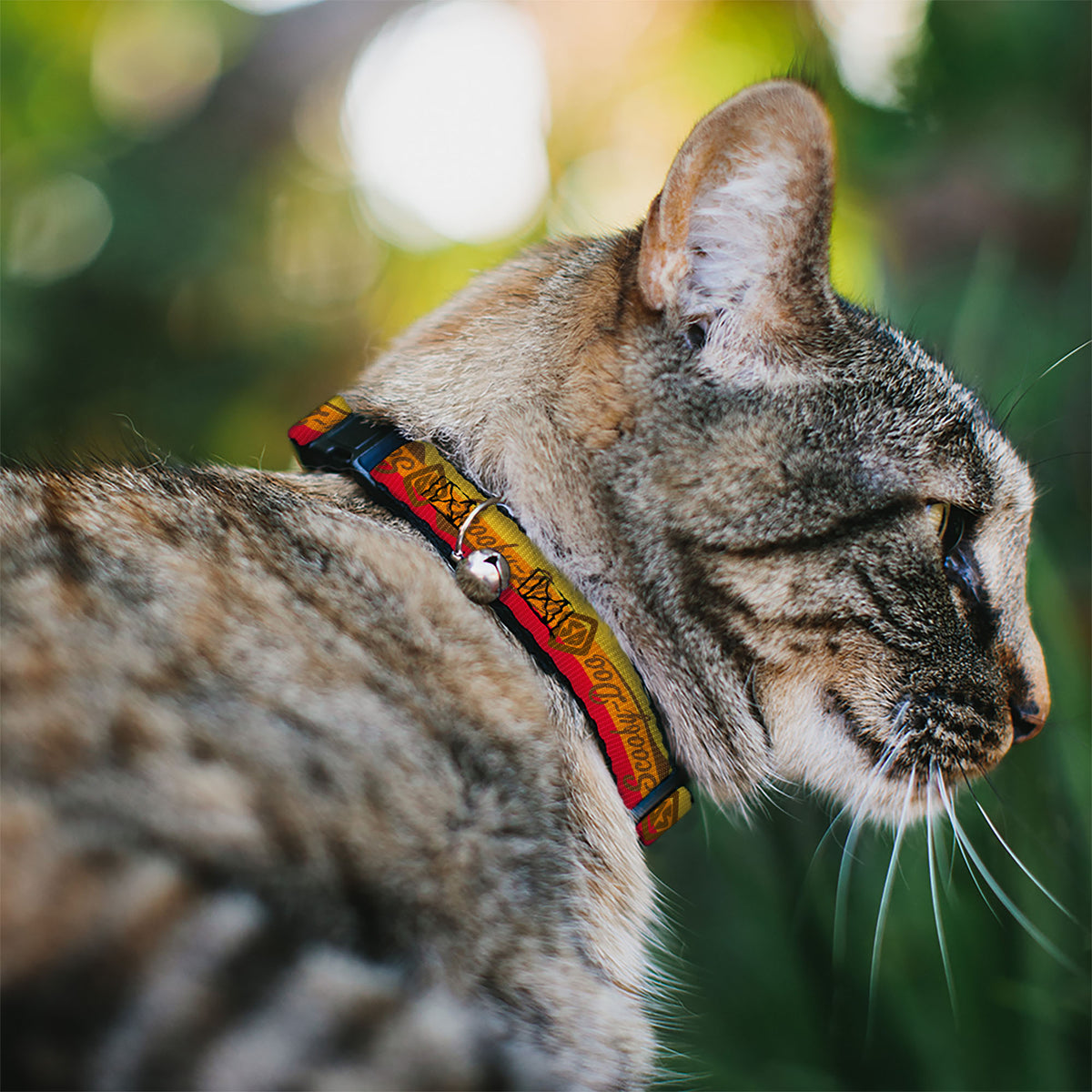 Cat Collar Breakaway - SCOOBY-DOO Script SD Icon Stripe Yellow Orange Red Brown Cat Collars Breakaway Side Release Scooby Doo