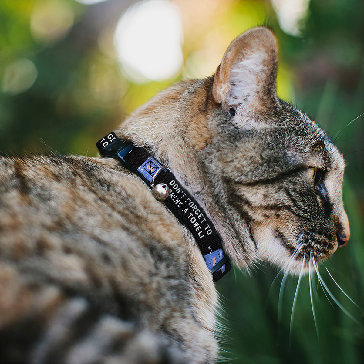 Breakaway Cat Collar with Bell - South Park Towlie DON’T FORGET TO BRING A TOWEL Pose Black Cat Collars Breakaway Side Release South Park