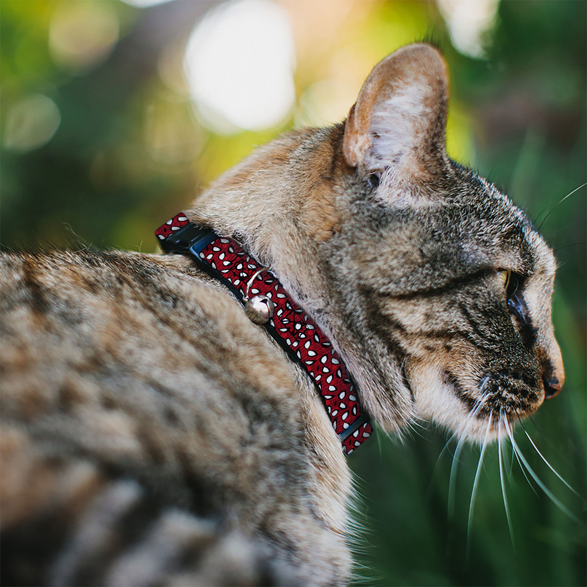2016 SPIDER-MAN Cat Collar Breakaway - Spider-Man Eyes Spiders Scattered Reds Black White Cat Collars Breakaway Side Release Marvel Comics