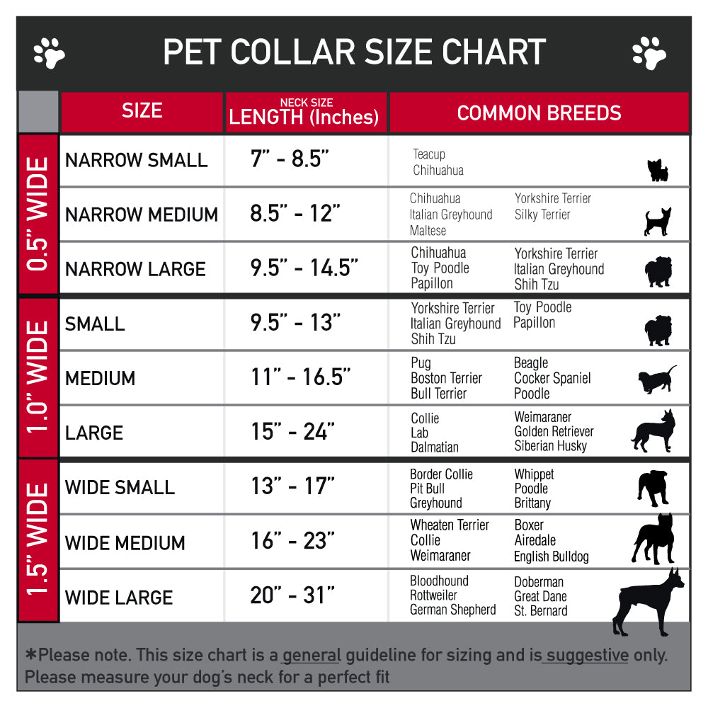 Plastic Clip Collar - Beauty and the Beast Belle Castle Pose with Script and Flowers White/Yellows Dog Collars Plastic Clip Side Release Disney