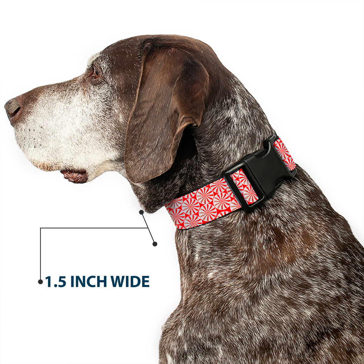 Plastic Clip Collar - Peppermint Candies Dog Collars Plastic Clip Side Release Buckle-Down