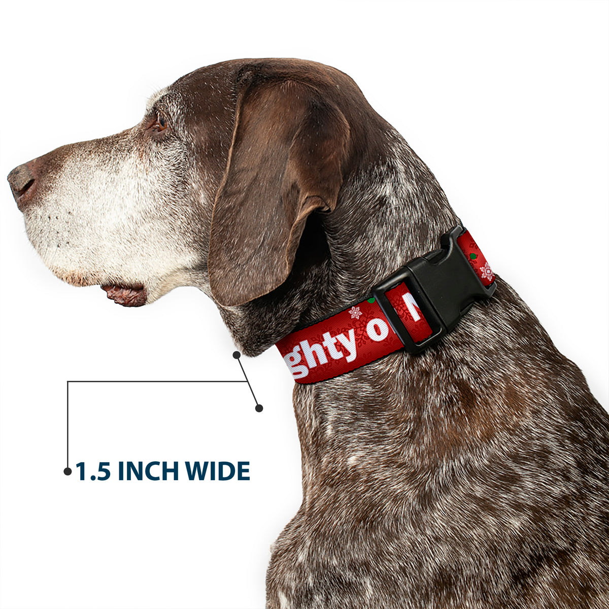 Plastic Clip Collar - Christmas NAUGHTY OR NICE/Snowflakes Reds/White/Green Dog Collars Plastic Clip Side Release Buckle-Down