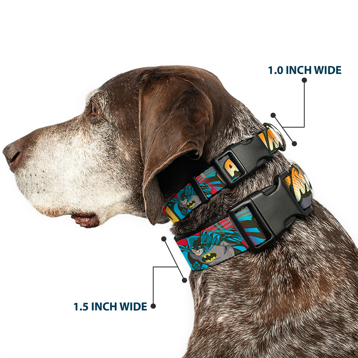 Plastic Clip Collar - Batman Dark Knight Dog Collars Plastic Clip Side Release DC Comics