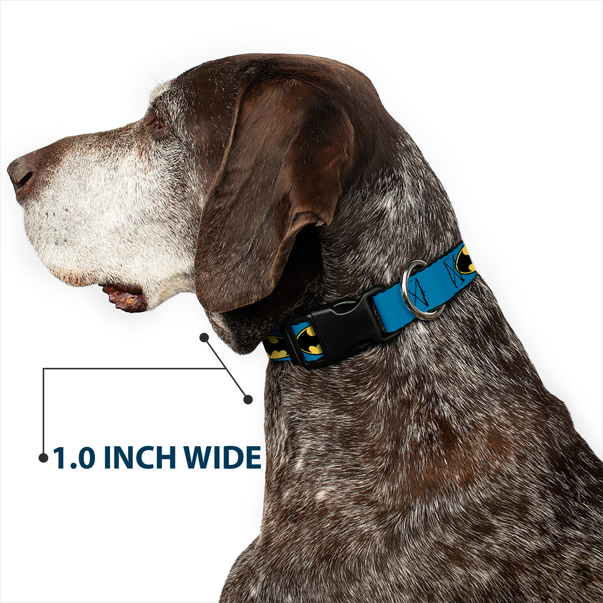 Plastic Clip Collar - Bat Signal-3 Blue/Black/Yellow Dog Collars Plastic Clip Side Release DC Comics