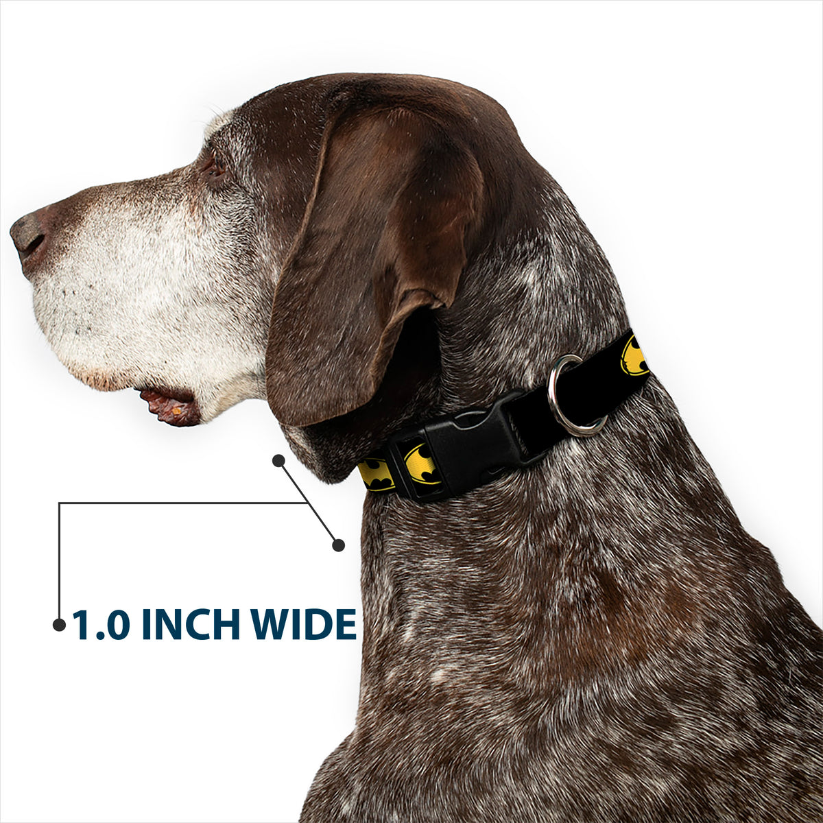 Plastic Clip Collar - Bat Signal-3 Black/Yellow/Black Dog Collars Plastic Clip Side Release DC Comics