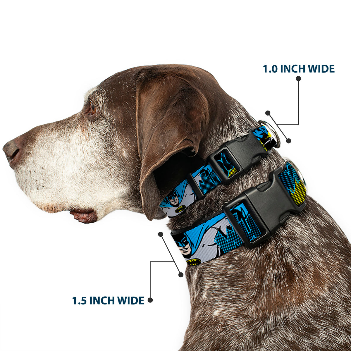 Plastic Clip Collar - Batman Scene1 Dog Collars Plastic Clip Side Release DC Comics