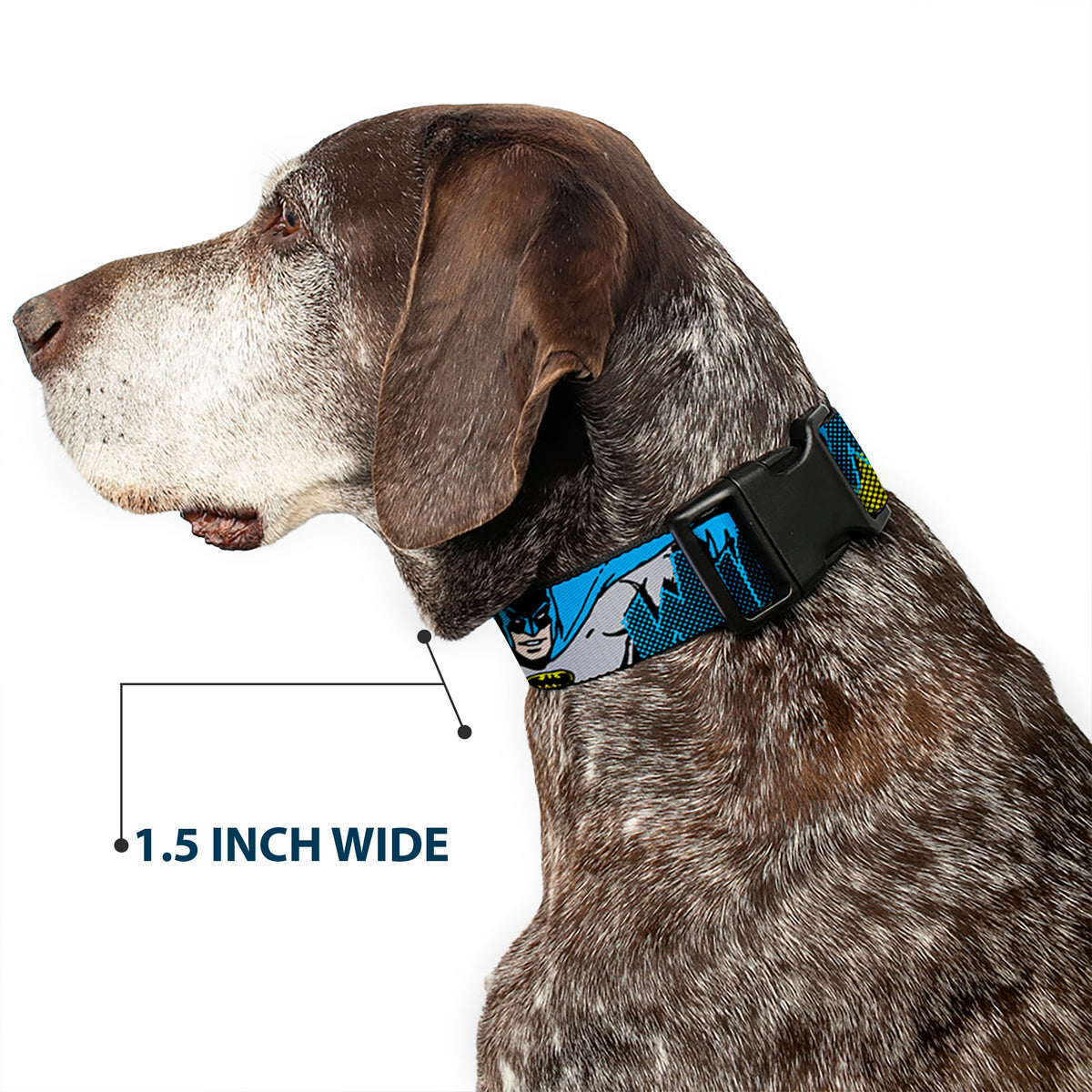 Plastic Clip Collar - Batman Scene1 Dog Collars Plastic Clip Side Release DC Comics