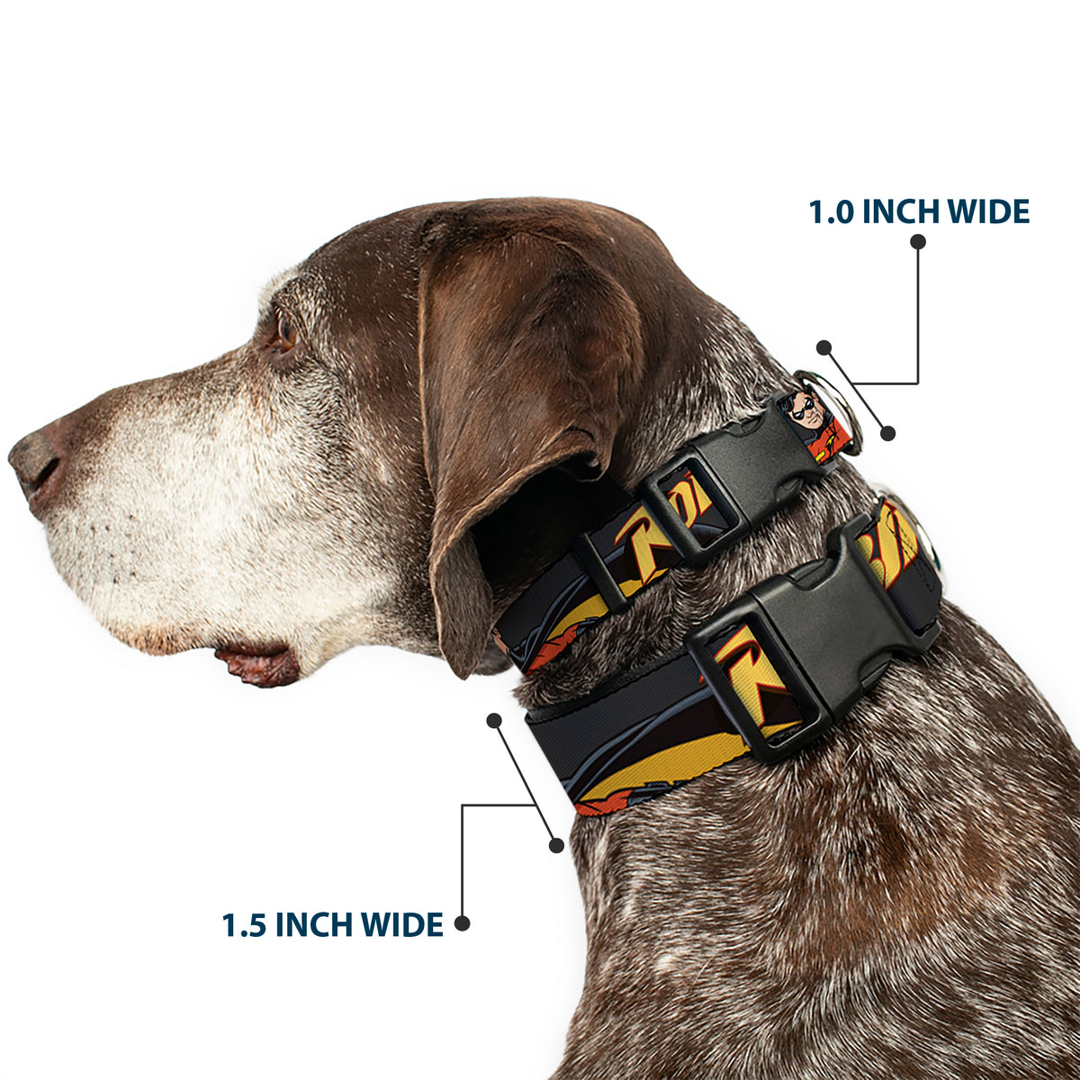 Plastic Clip Collar - ROBIN Red/Black Poses Gray Dog Collars Plastic Clip Side Release DC Comics
