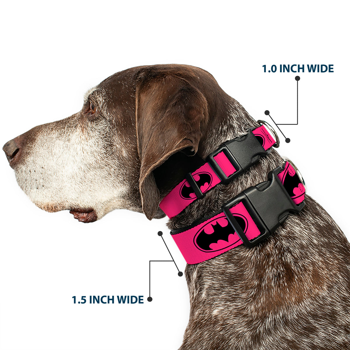 Plastic Clip Collar - Bat Signal-3 Fuchsia/Black/Fuchsia Dog Collars Plastic Clip Side Release DC Comics