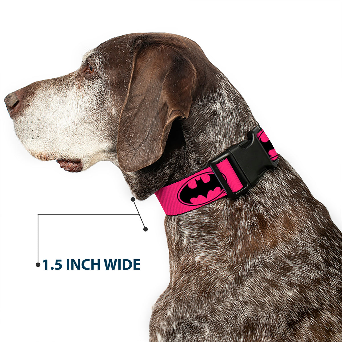 Plastic Clip Collar - Bat Signal-3 Fuchsia/Black/Fuchsia Dog Collars Plastic Clip Side Release DC Comics