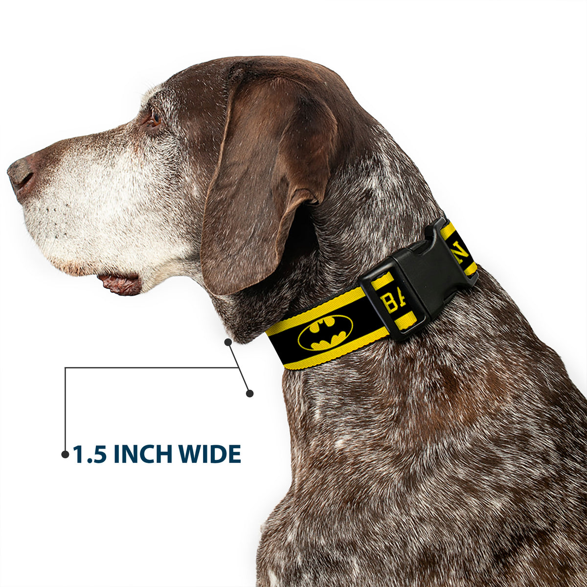 Plastic Clip Collar - BATMAN/Logo Stripe Yellow/Black Dog Collars Plastic Clip Side Release DC Comics