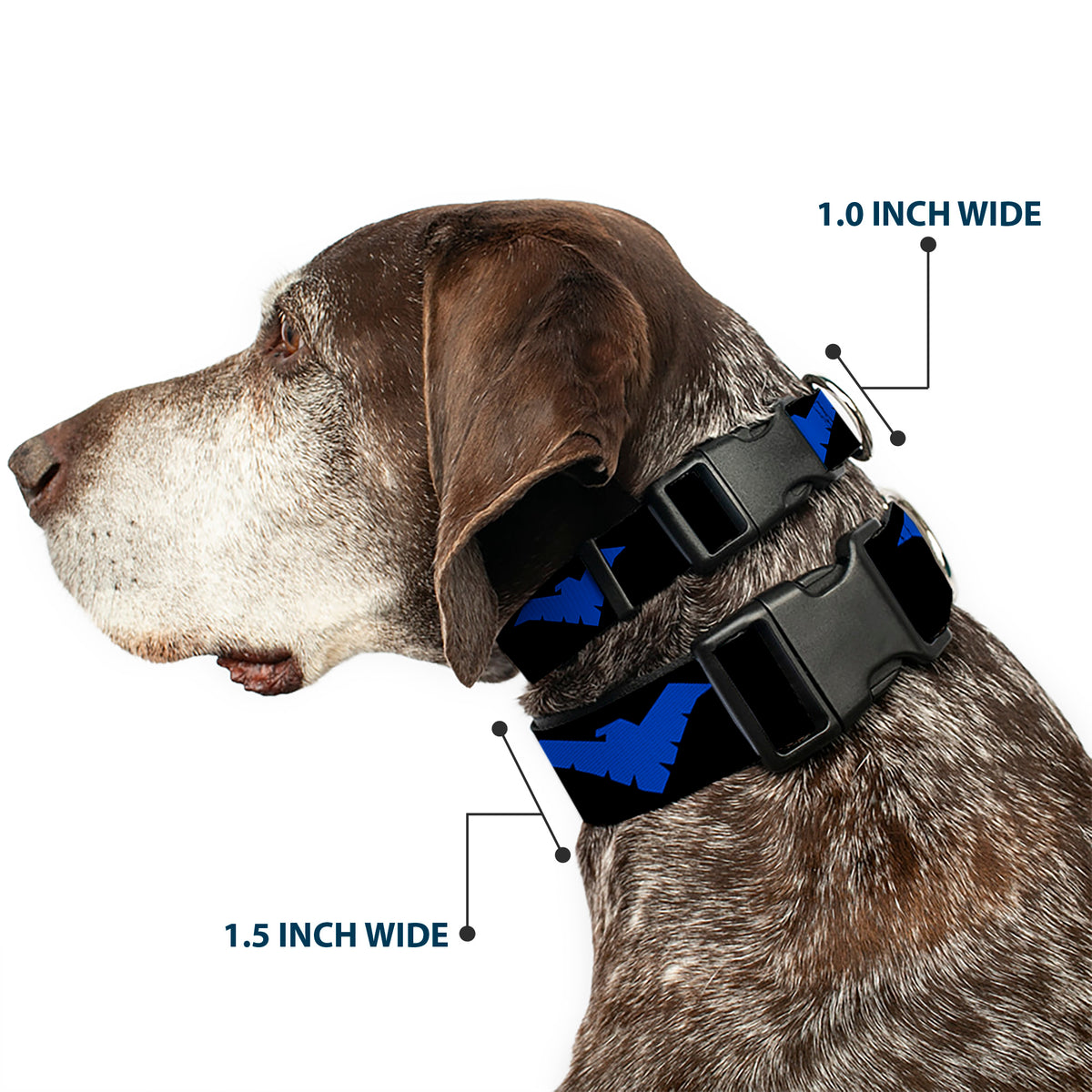 Plastic Clip Collar - Nightwing Logo Black/Blue Dog Collars Plastic Clip Side Release DC Comics